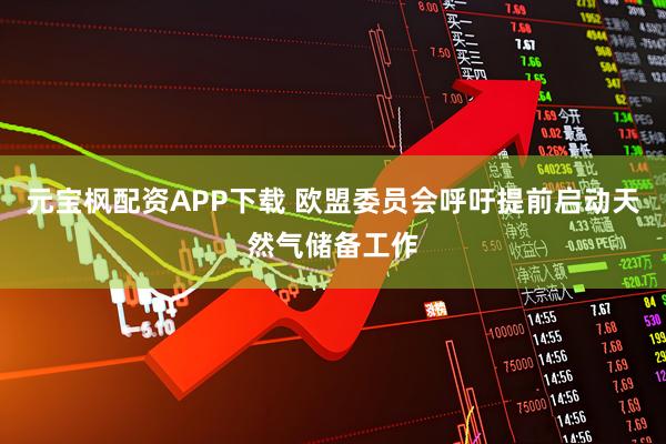 元宝枫配资APP下载 欧盟委员会呼吁提前启动天然气储备工作